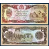 Afghanistan P.61c, Neuf, Billet de 1000 afghanis 1991 Jardins