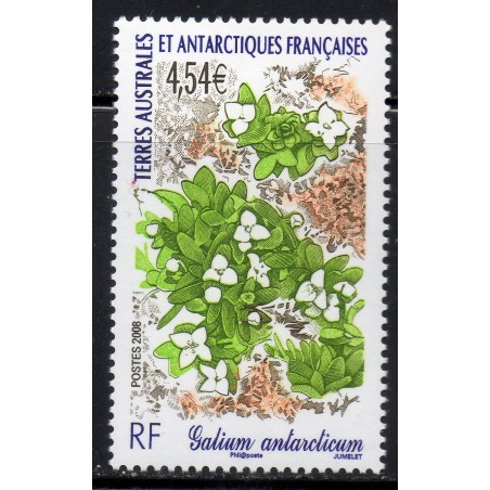 Timbre TAAF Yvert No 500 Galium Antarcticum neuf ** 2008