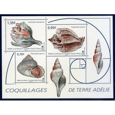 Timbres TAAF Bloc Yvert No F898 Coquillages de Terre Adélie neuf ** 2019