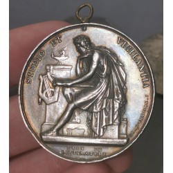 Medaille Suisse, Geneve, Prix de litterature argent Chaponniere