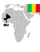 Billets de banque du Mali de collection